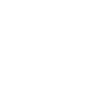 Climate Control Service Icon