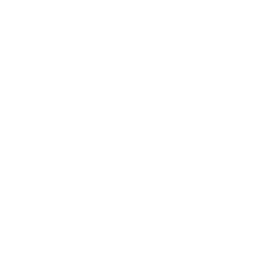 Tyre Service Icon